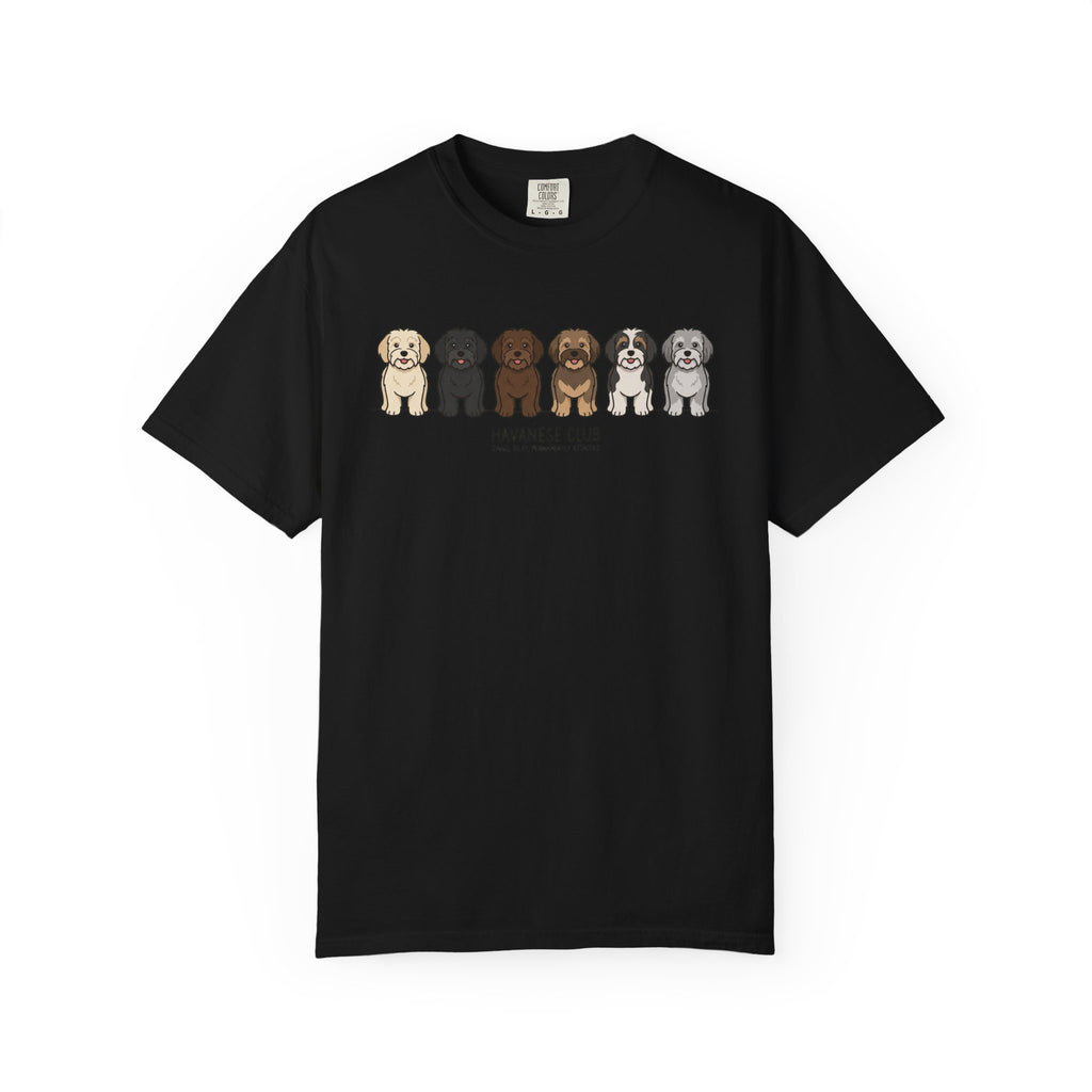 Havanese Club