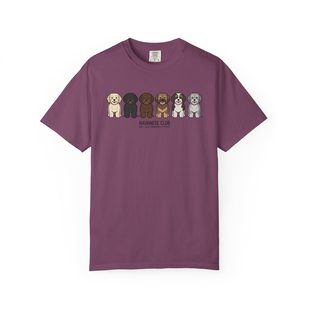 Havanese Club