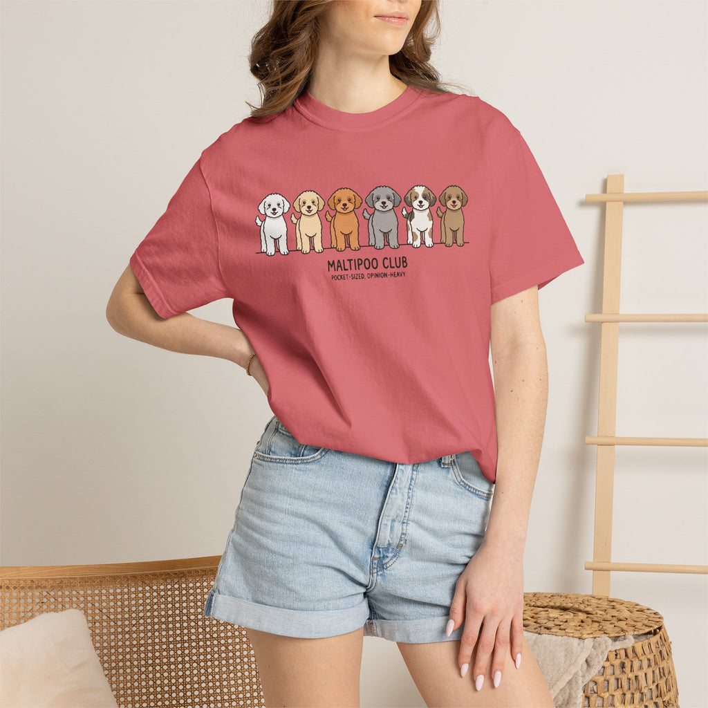 Maltipoo Club