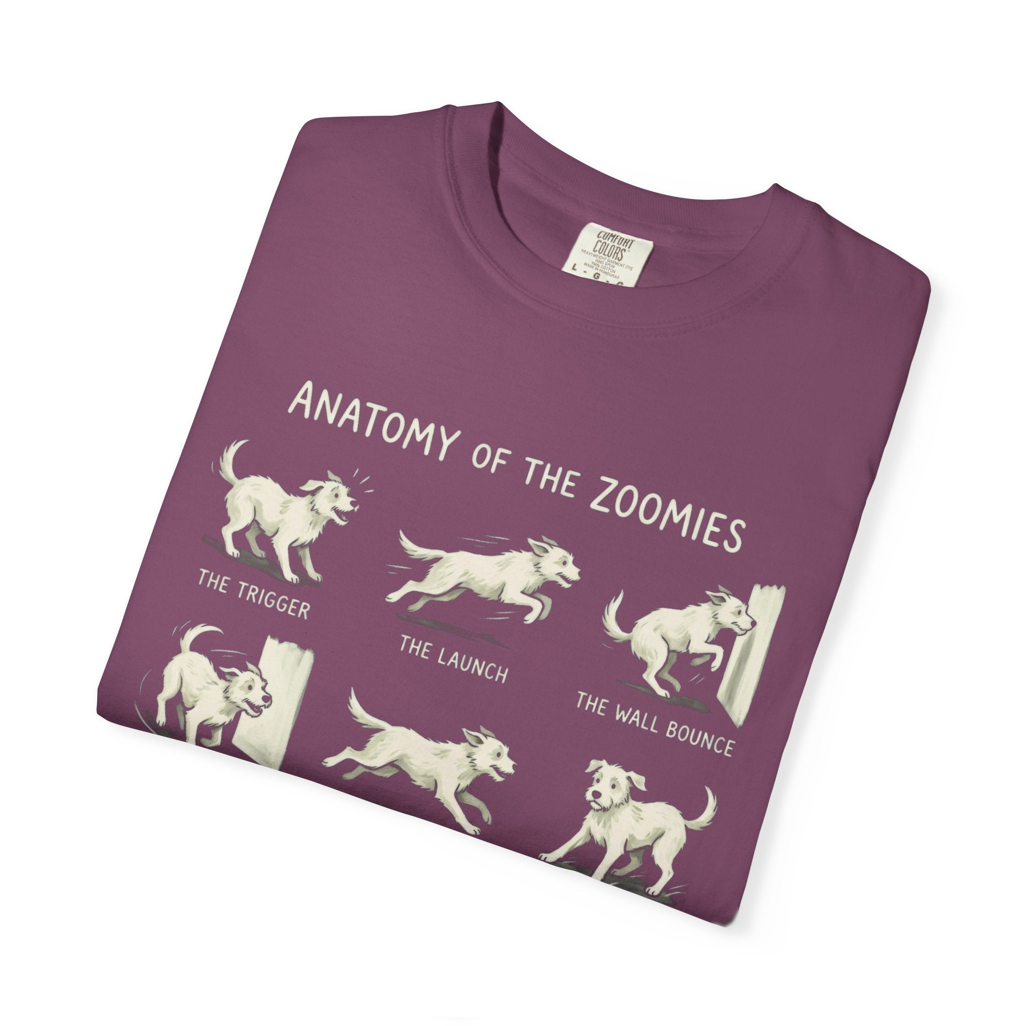 Anatomy Of The Zoomies