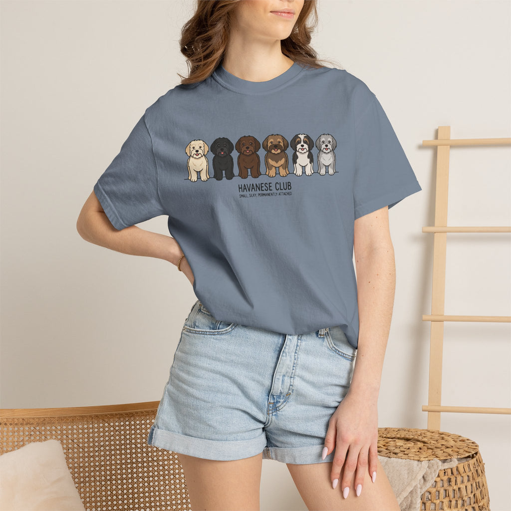 Havanese Club
