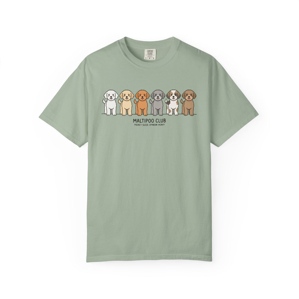 Maltipoo Club