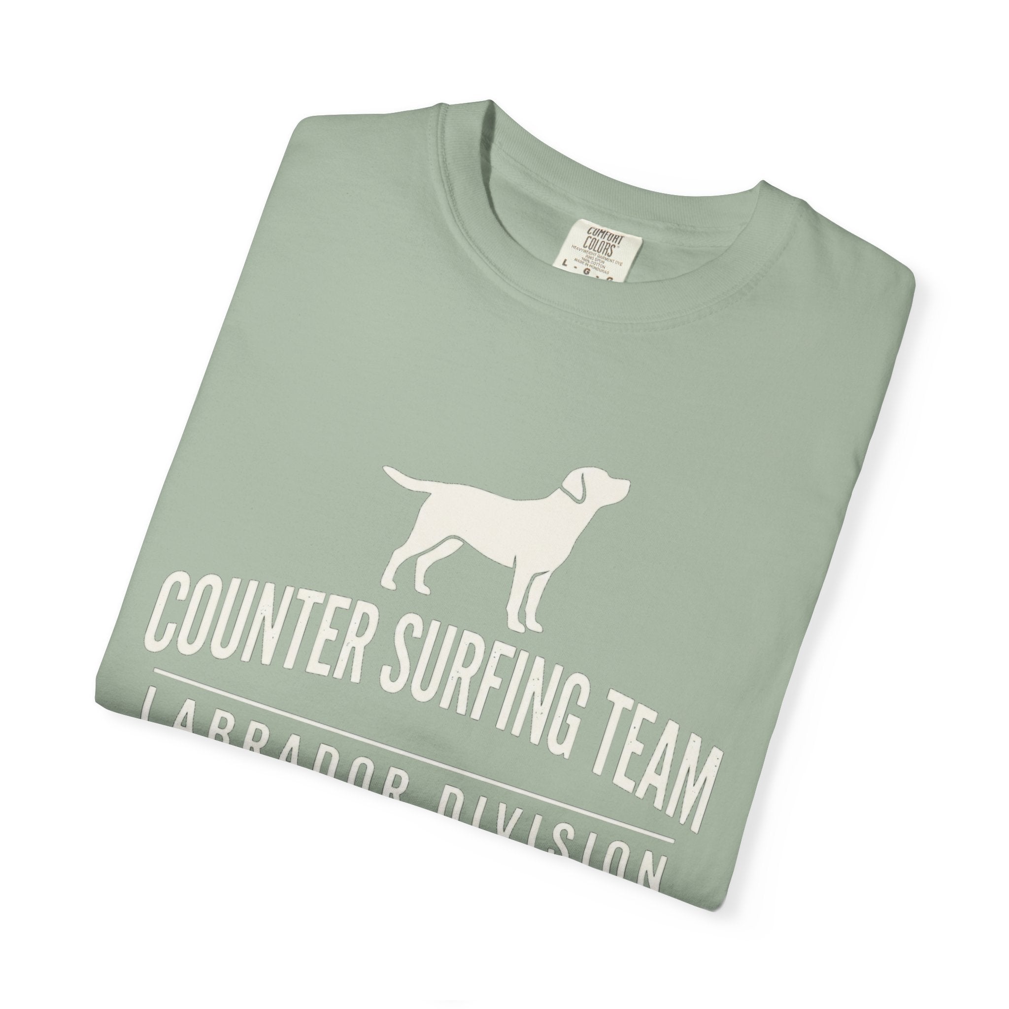Counter Surfing Team