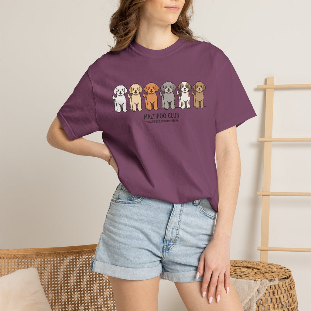 Maltipoo Club
