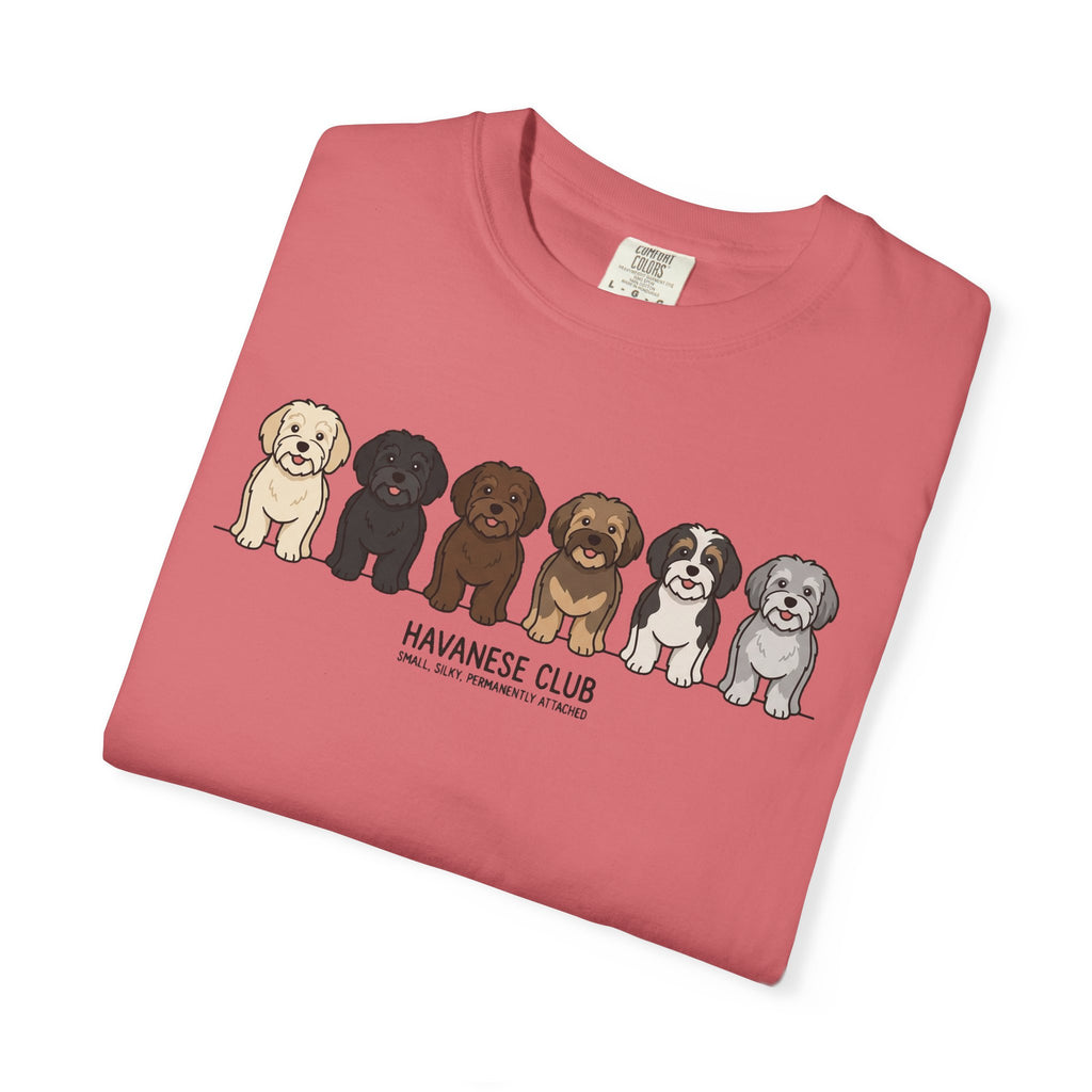 Havanese Club