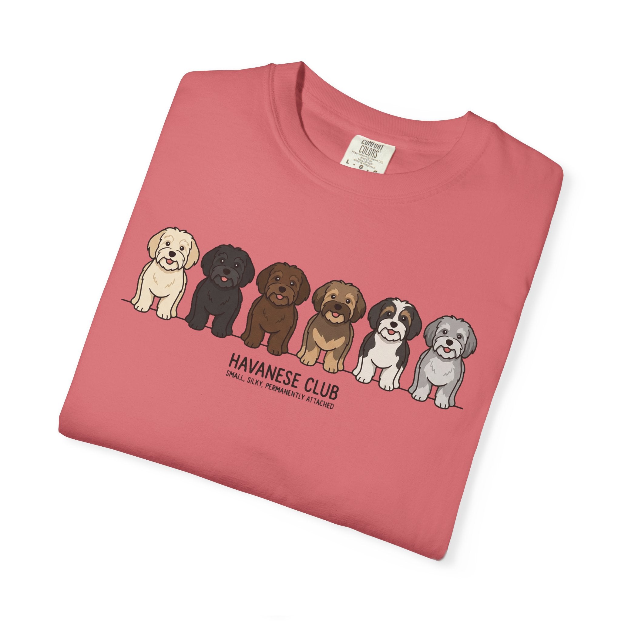 Havanese Club