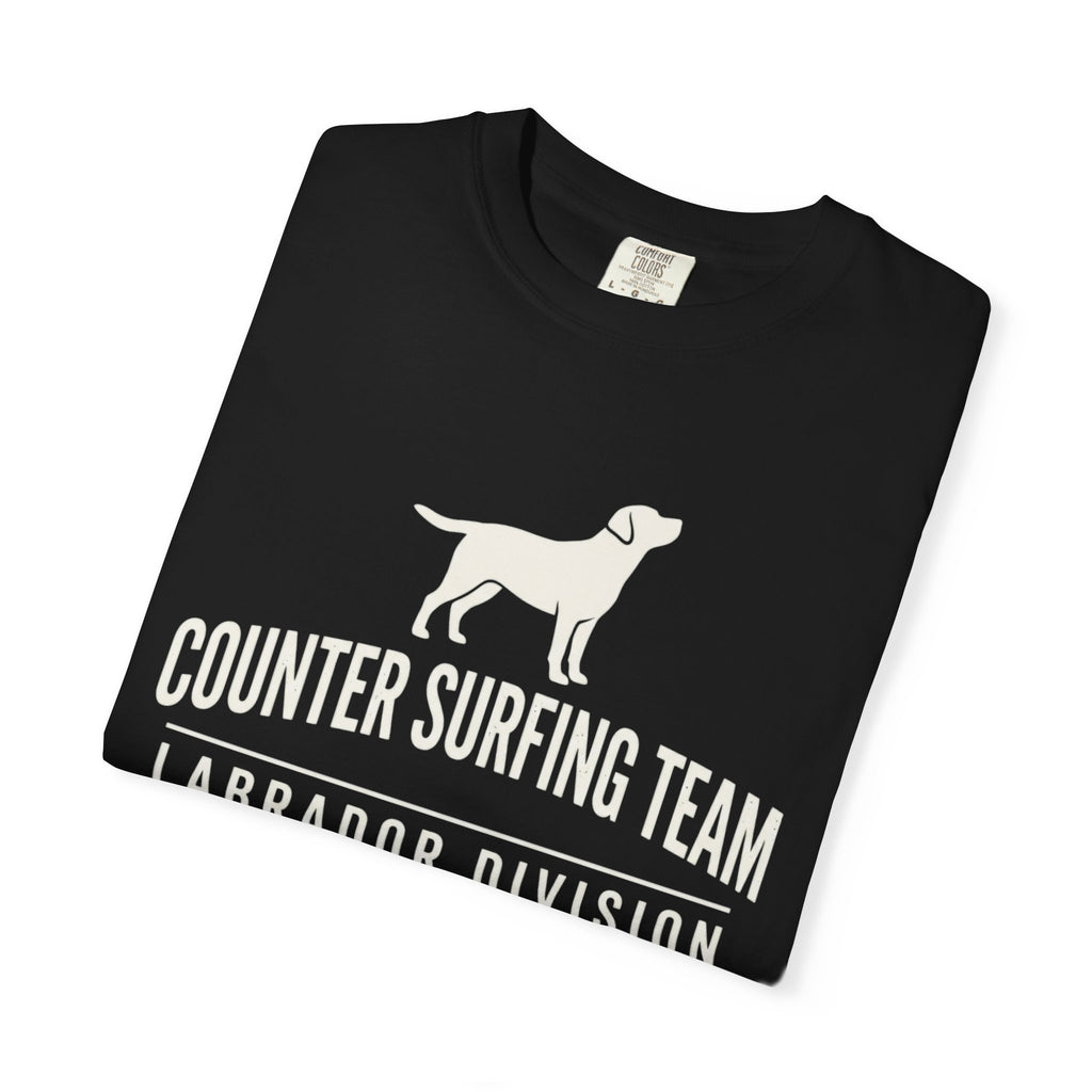 Counter Surfing Team
