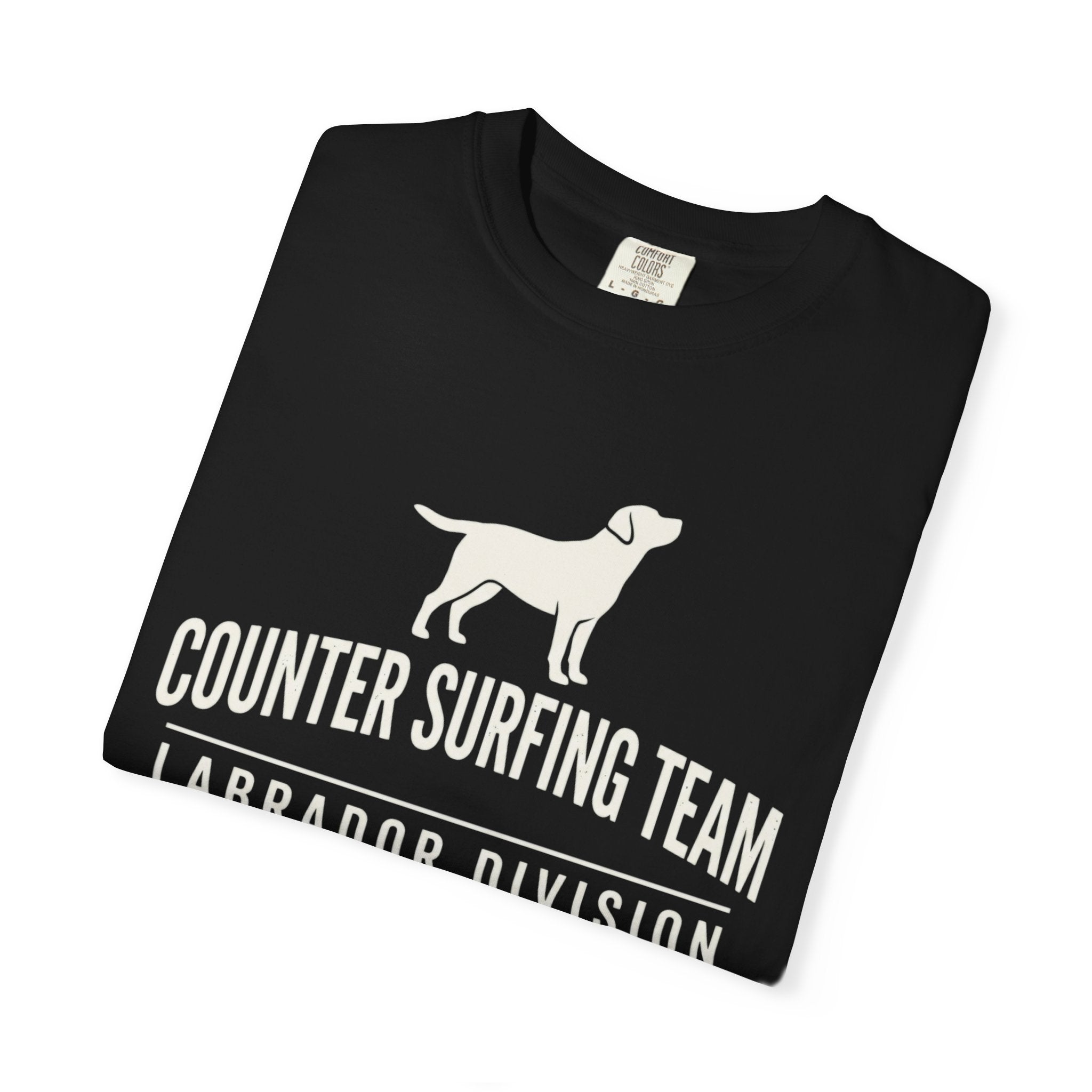 Counter Surfing Team