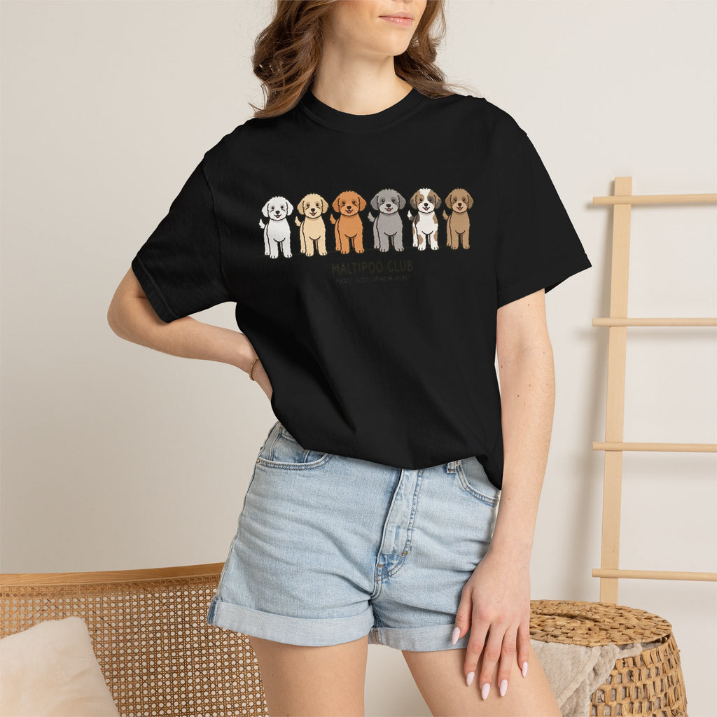 Maltipoo Club