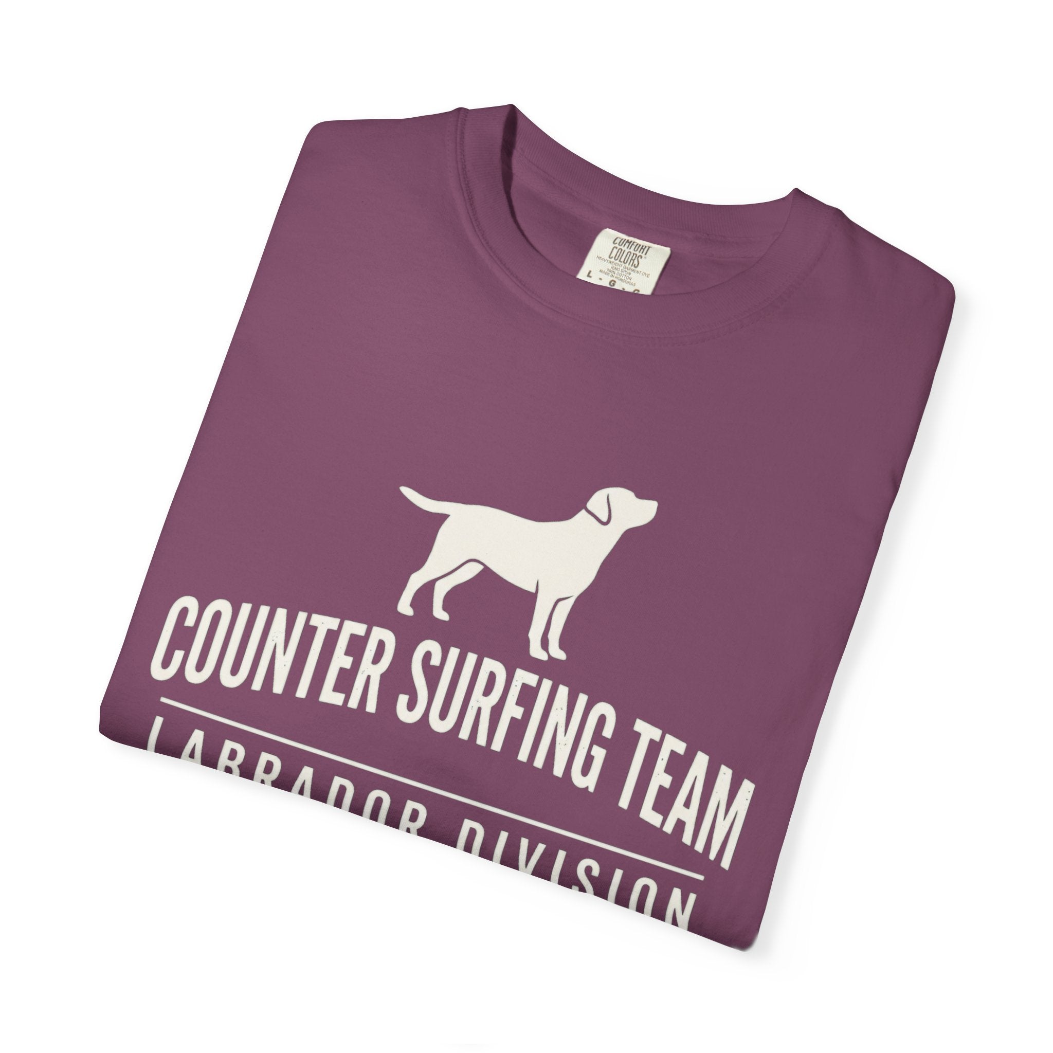 Counter Surfing Team