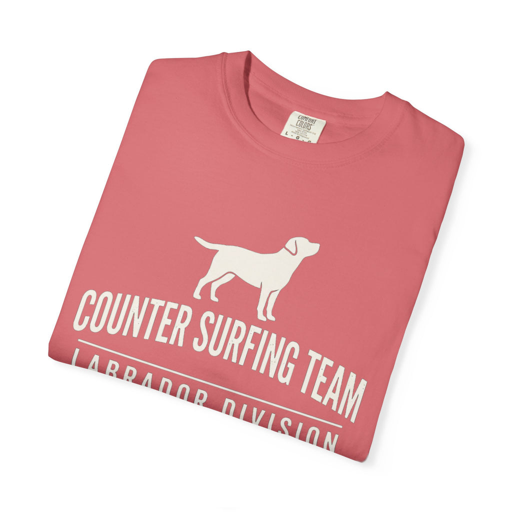 Counter Surfing Team