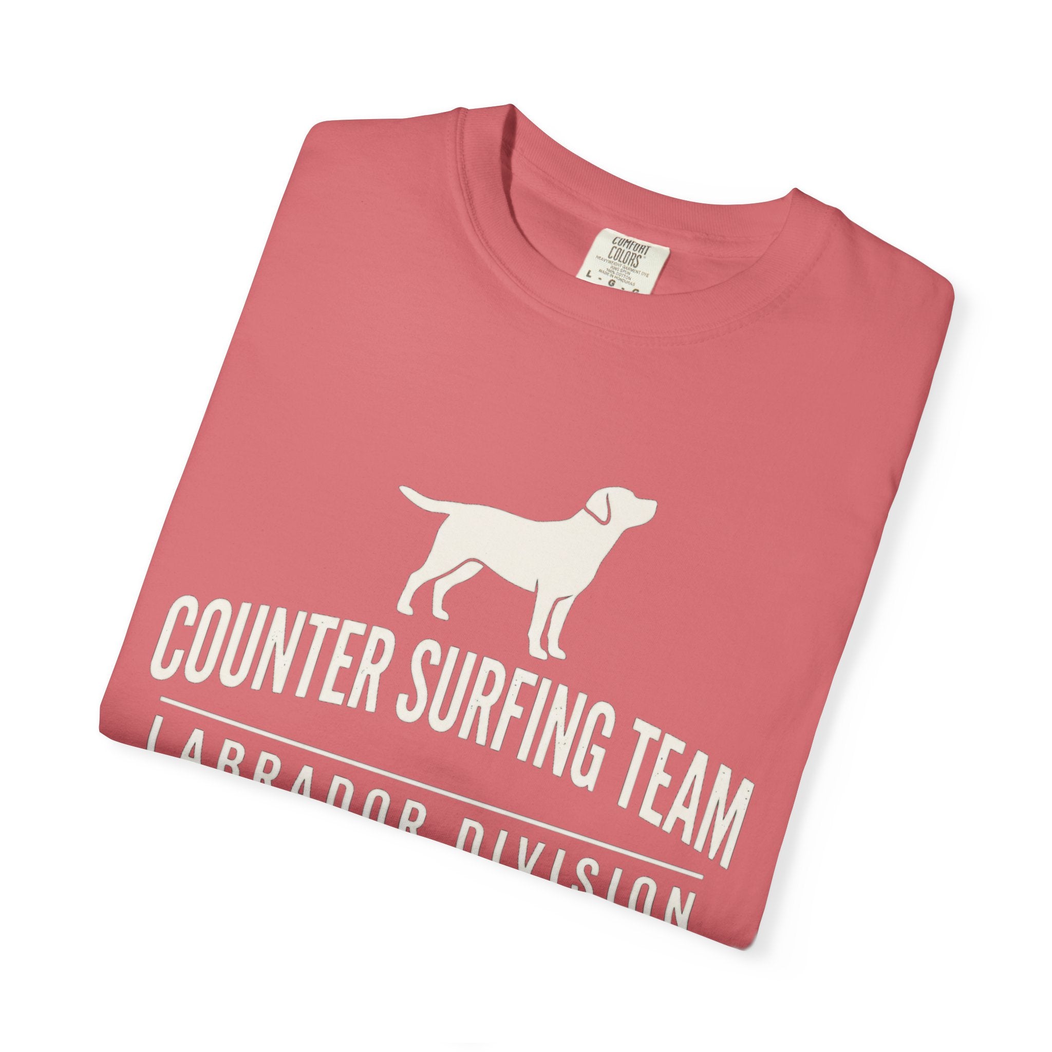 Counter Surfing Team