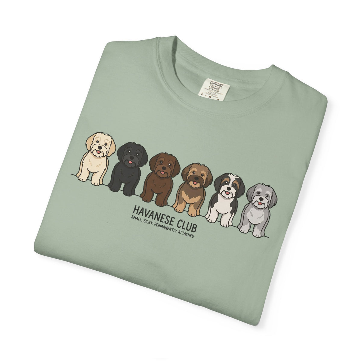 Havanese Club