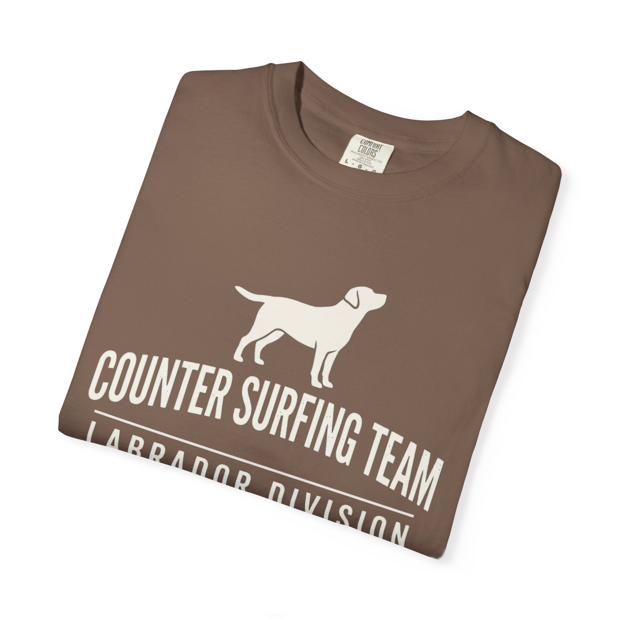 Counter Surfing Team