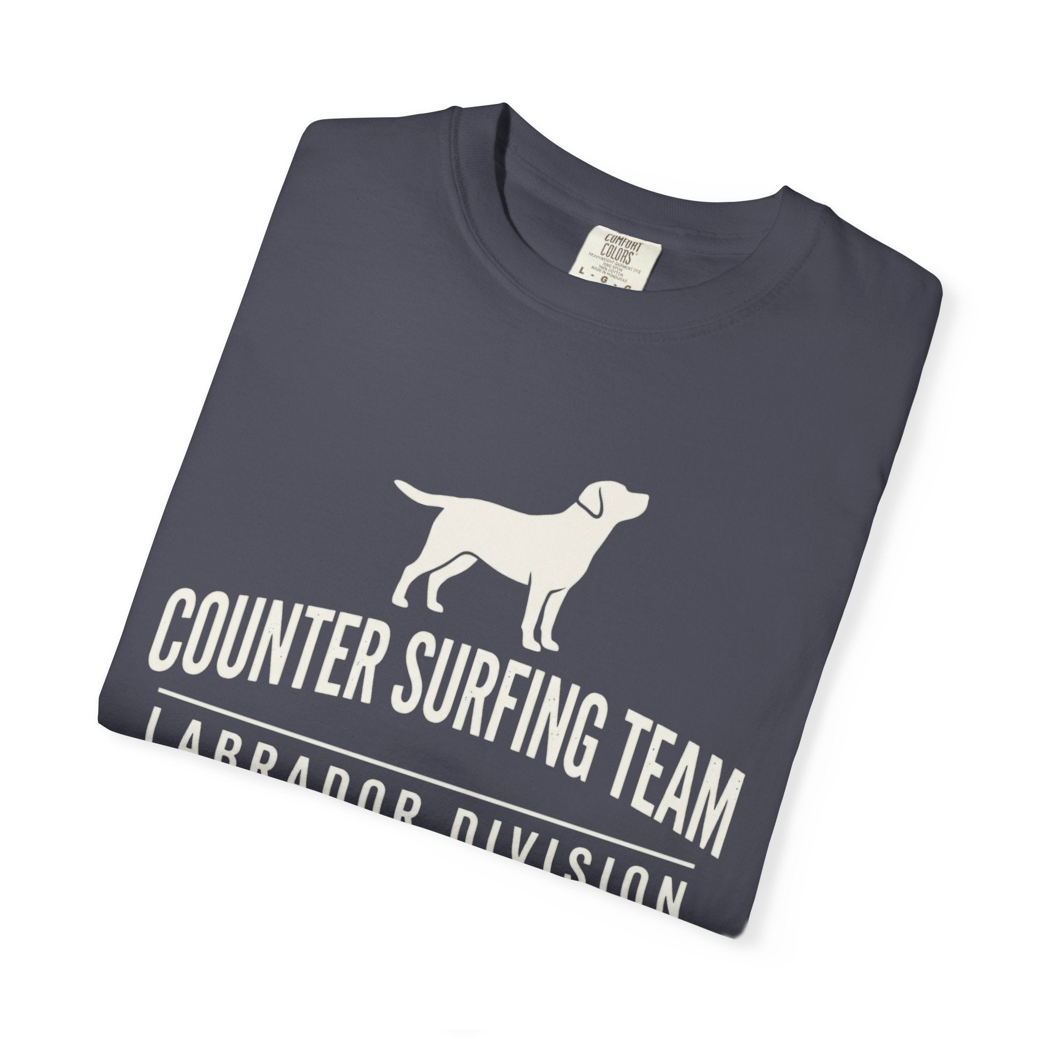 Counter Surfing Team