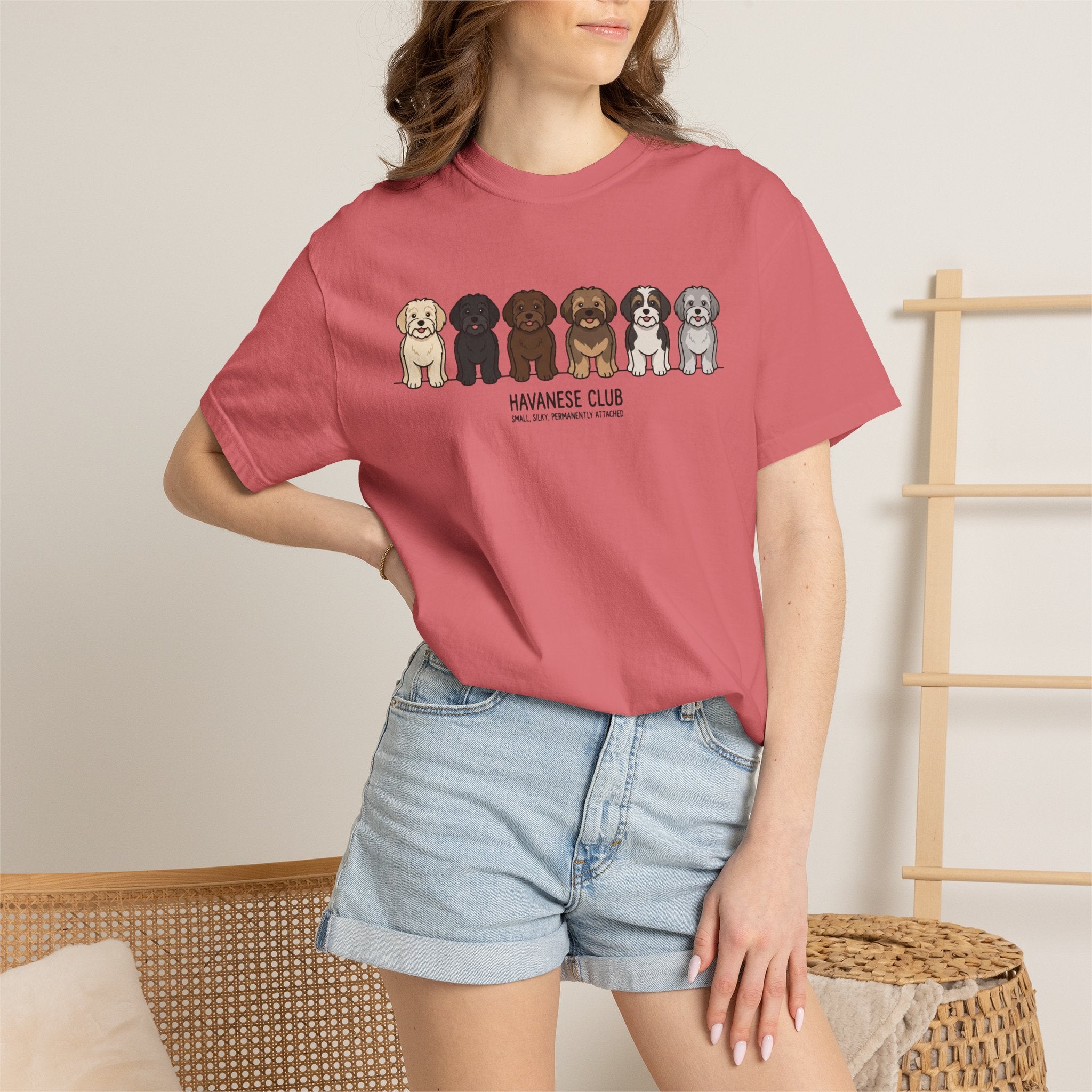 Havanese Club