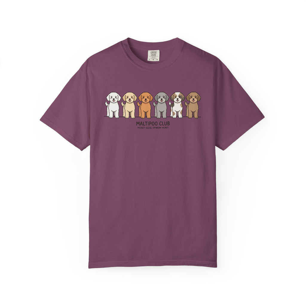 Maltipoo Club