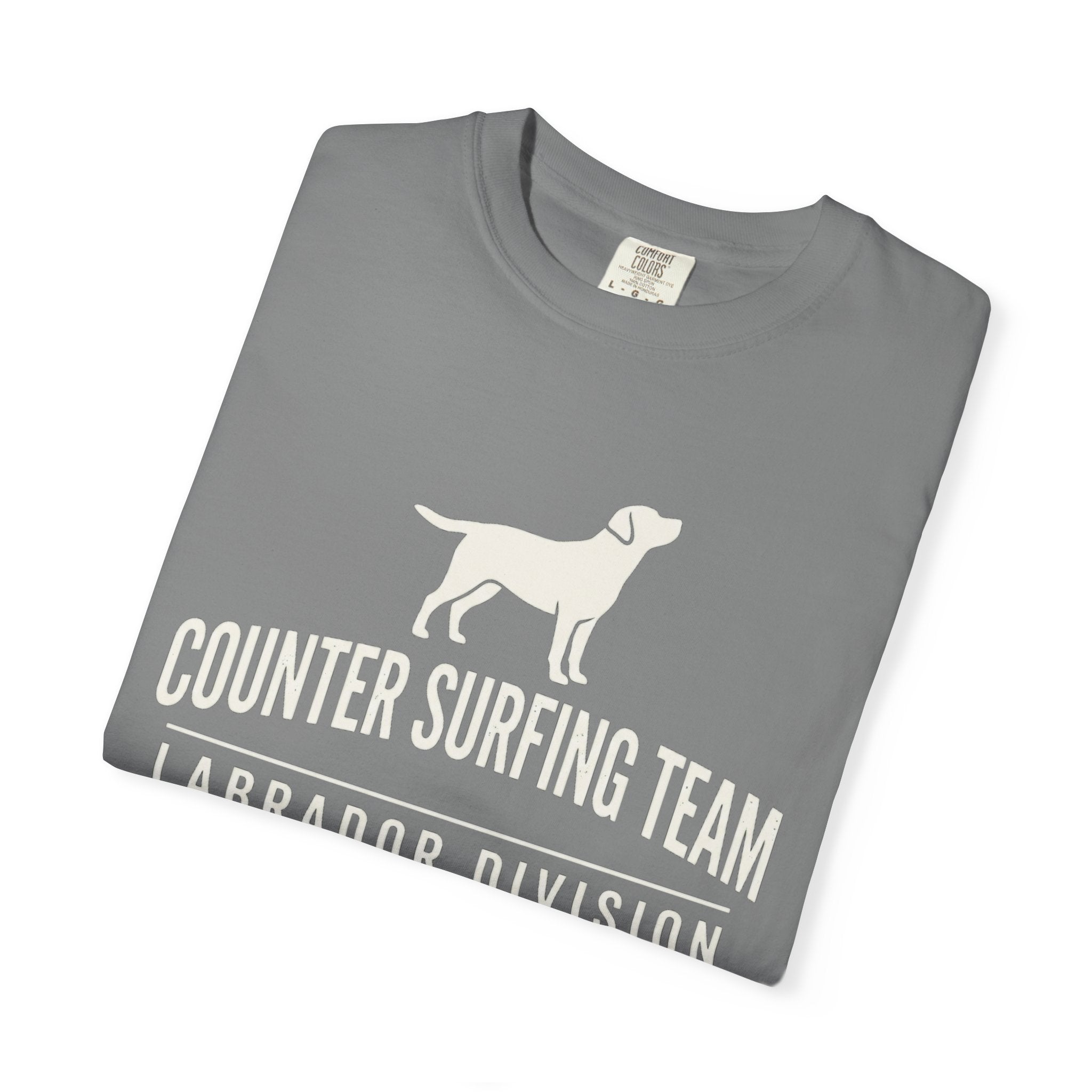 Counter Surfing Team