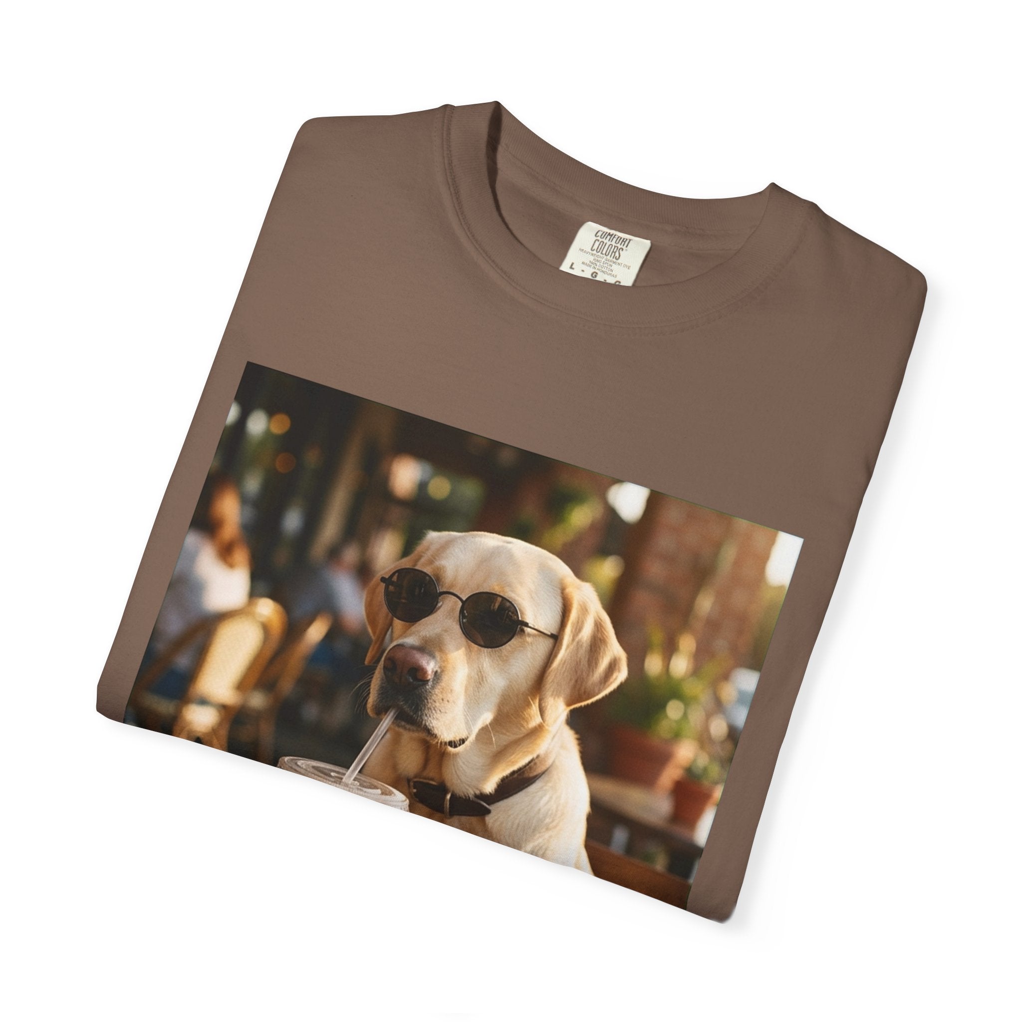 Iced Coffee Club · Labrador