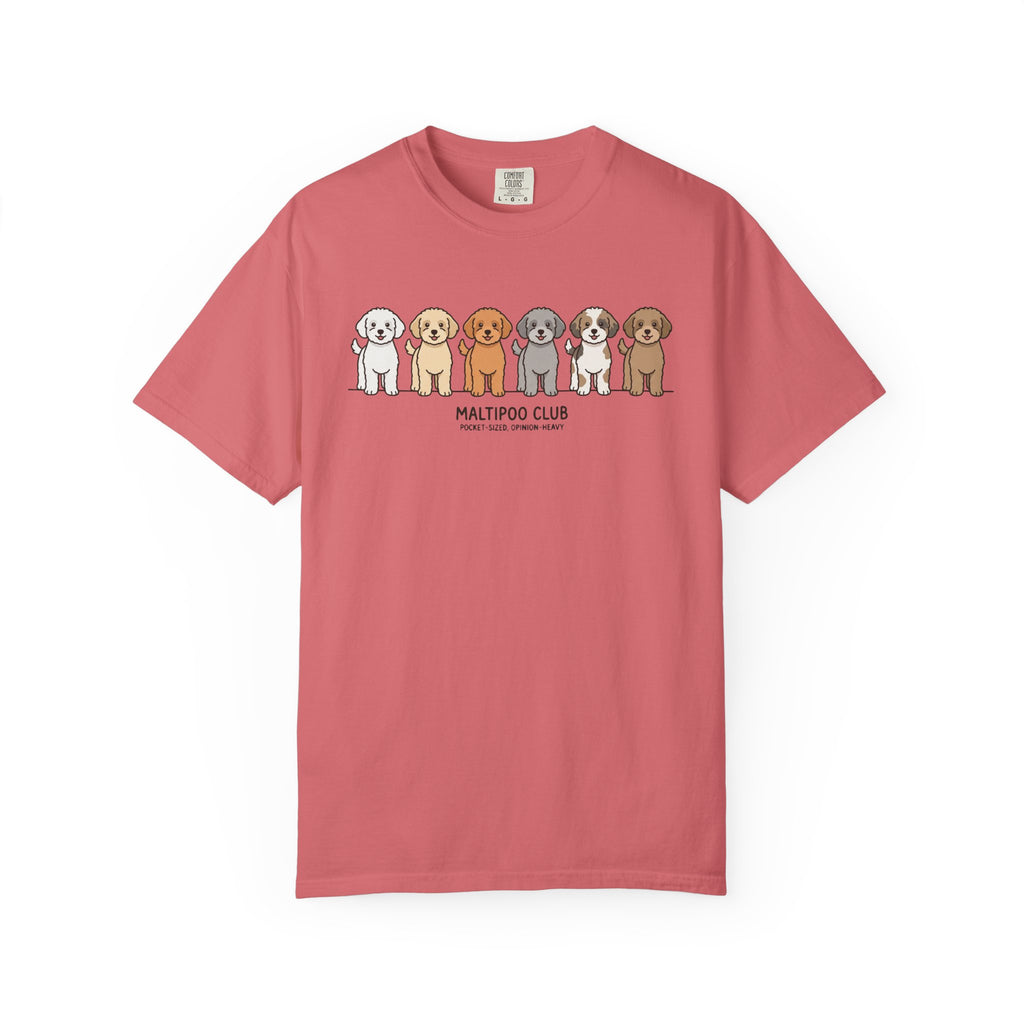 Maltipoo Club
