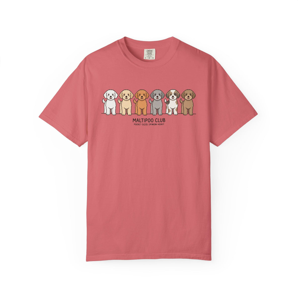 Maltipoo Club