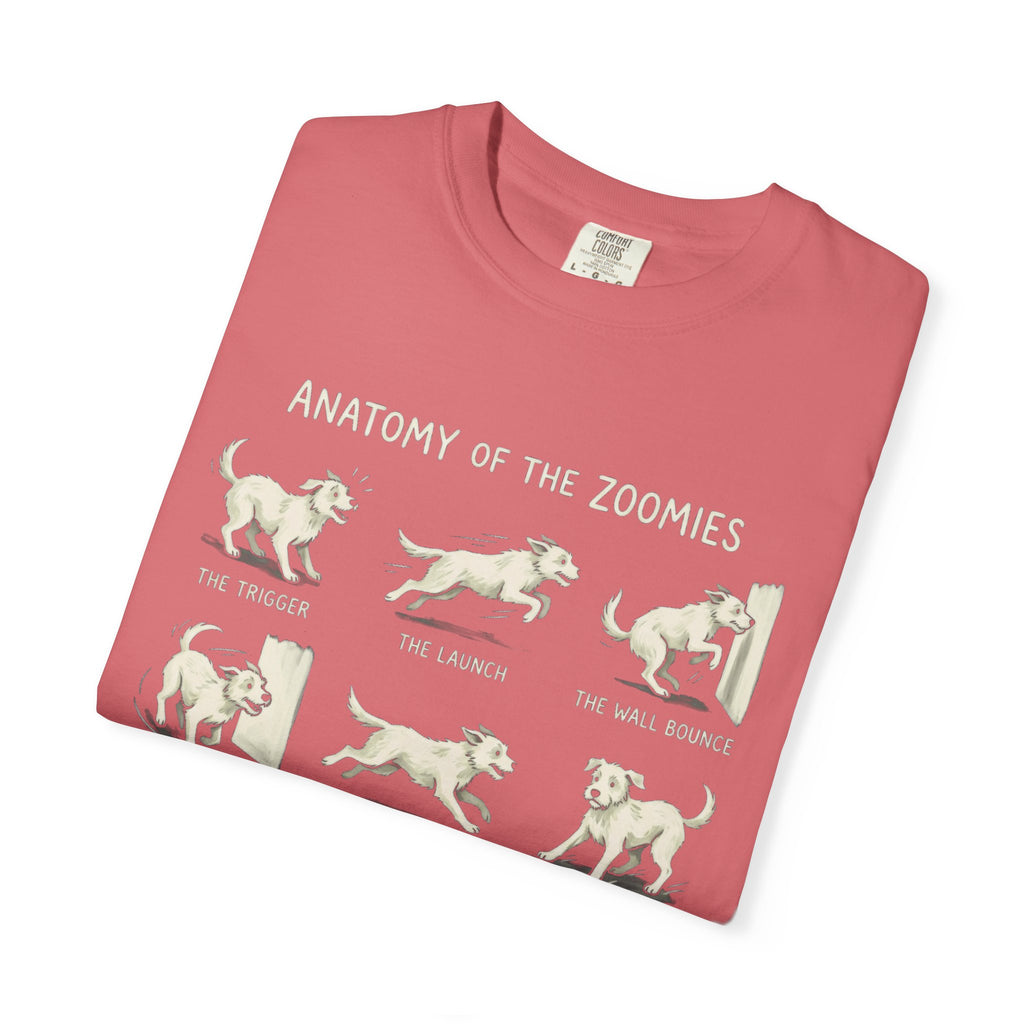 Anatomy Of The Zoomies
