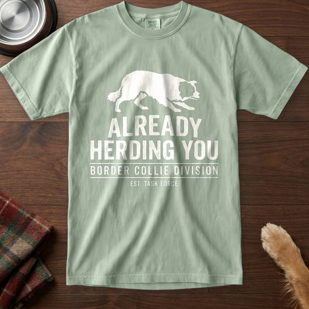 pick12v5:already-herding-you-border-collie-division-est-task-force:Bay