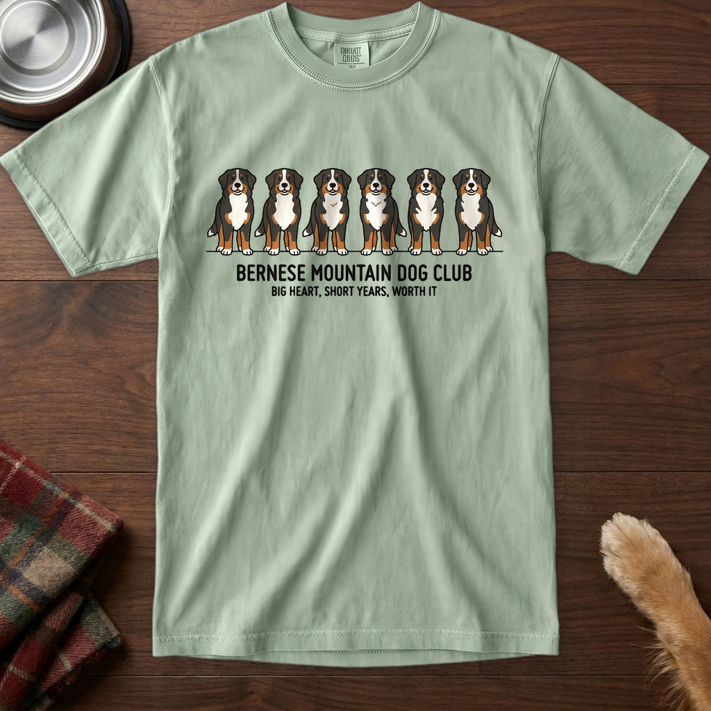 pick12v5:bernese-mountain-dog:Bay
