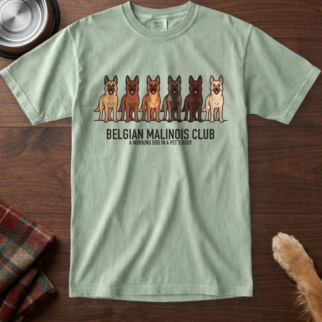 lineupv1:belgian-malinois-club-lineup-t-shirt:Bay