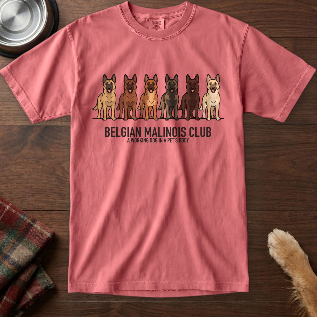 lineupv1:belgian-malinois-club-lineup-t-shirt:Watermelon