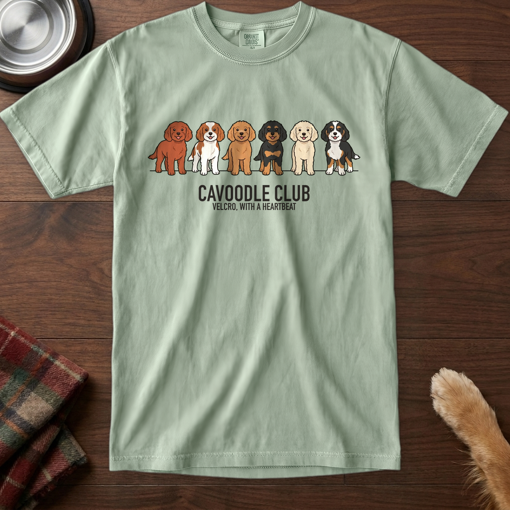 lineupv1:cavoodle-club-lineup-t-shirt:Bay