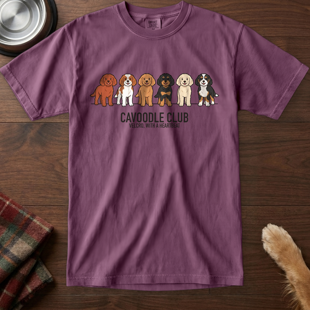 lineupv1:cavoodle-club-lineup-t-shirt:Berry