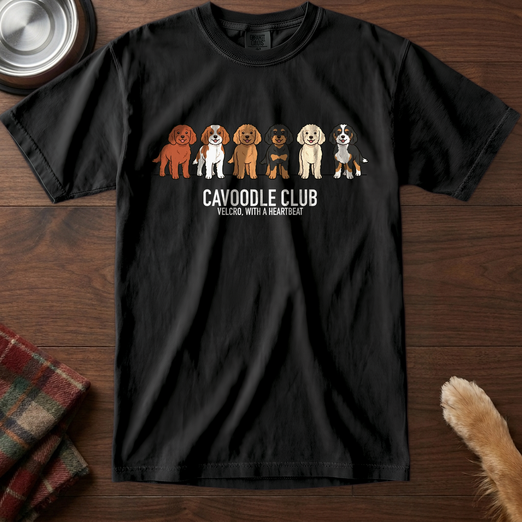 lineupv1:cavoodle-club-lineup-t-shirt:Black