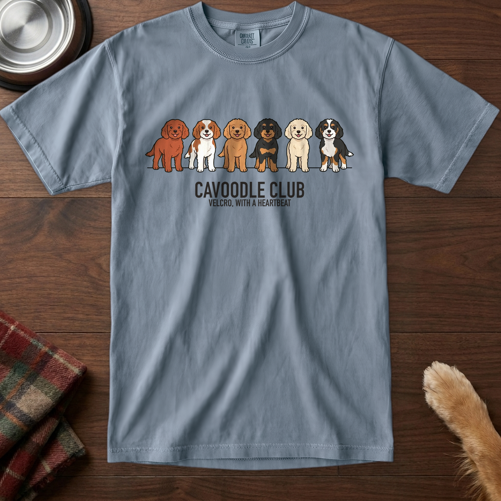 lineupv1:cavoodle-club-lineup-t-shirt:Blue Jean