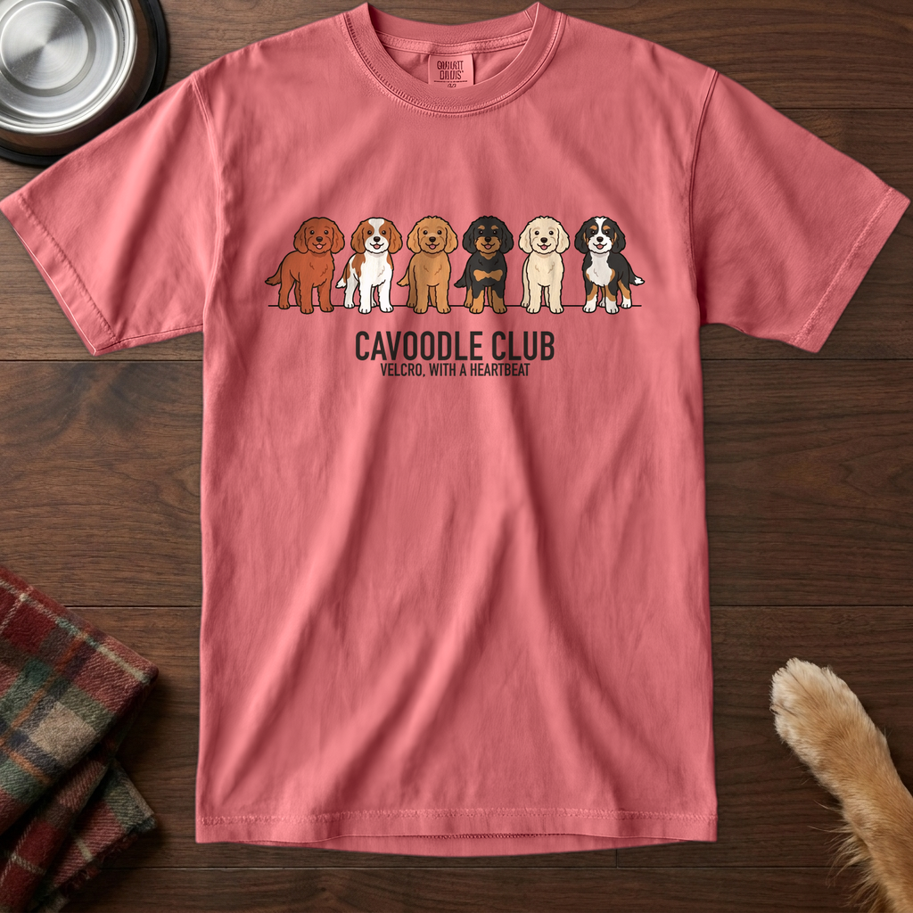 lineupv1:cavoodle-club-lineup-t-shirt:Watermelon