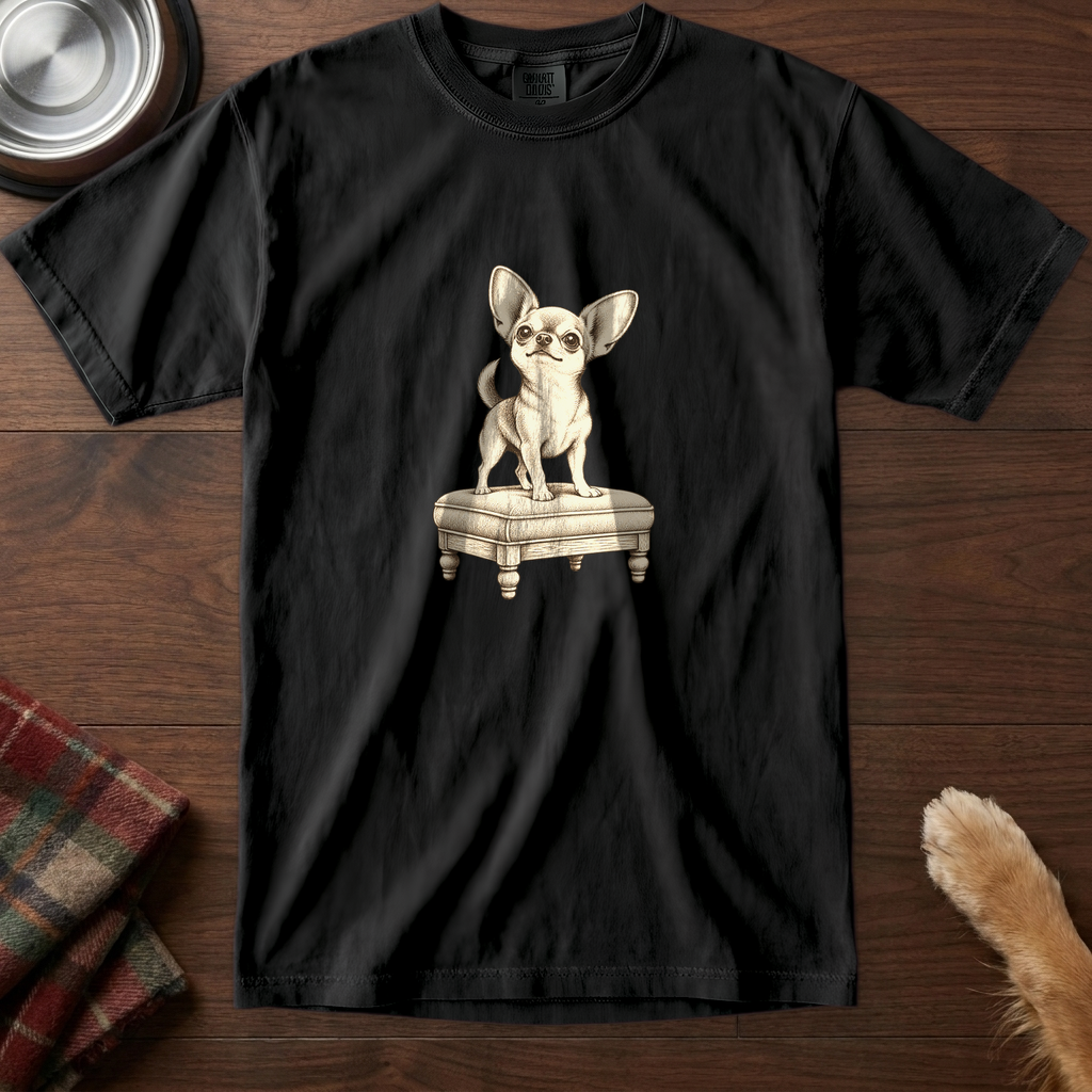 pick12v5:chihuahua-guards-the-couch-t-shirt:Black