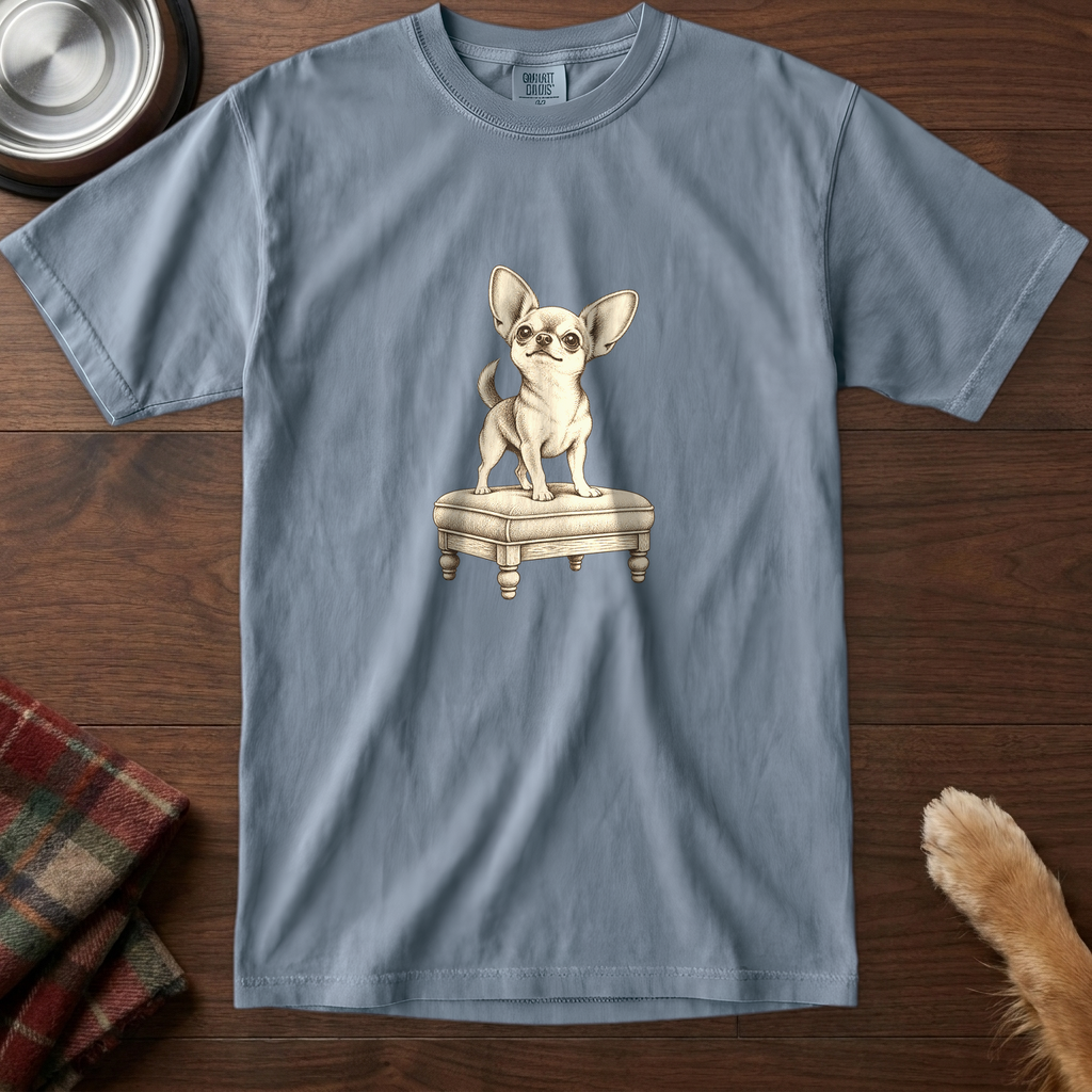 pick12v5:chihuahua-guards-the-couch-t-shirt:Blue Jean
