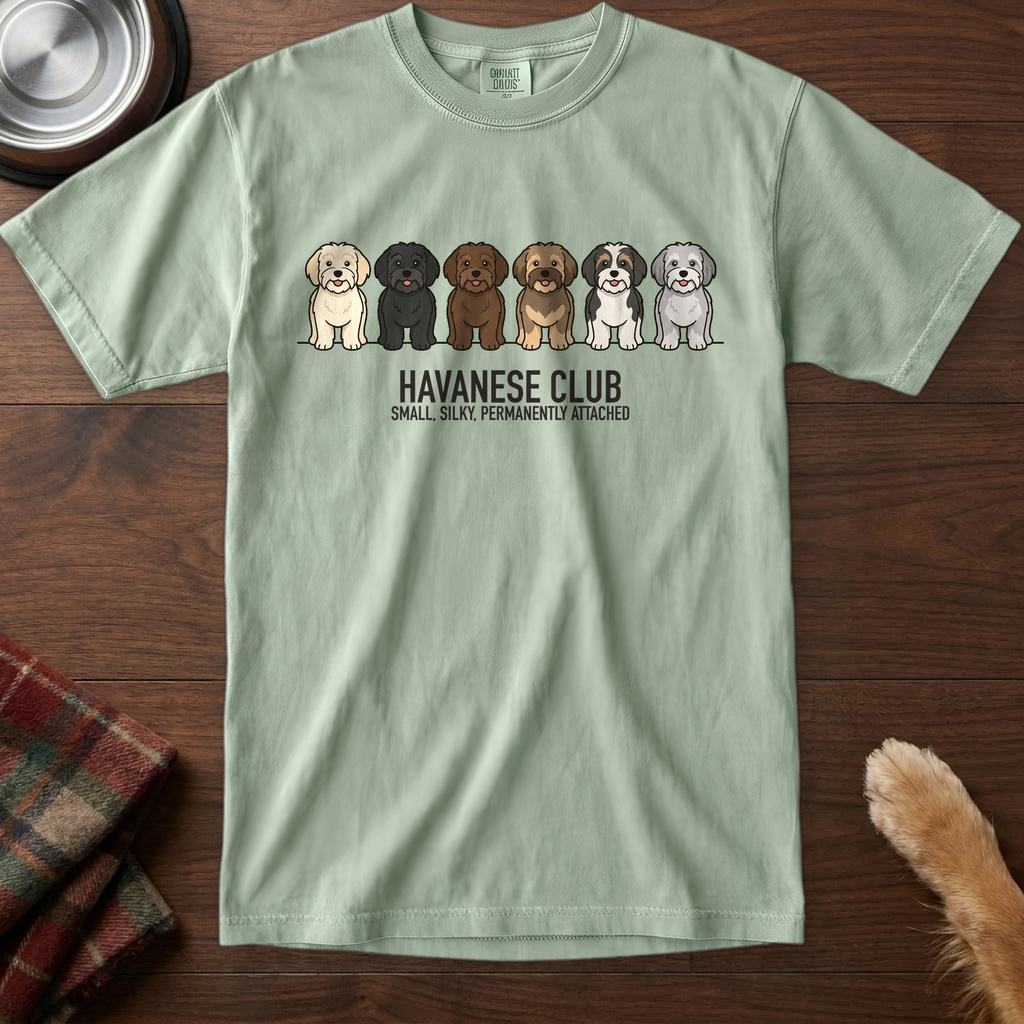 lineupv1:havanese-club-lineup-t-shirt:Bay