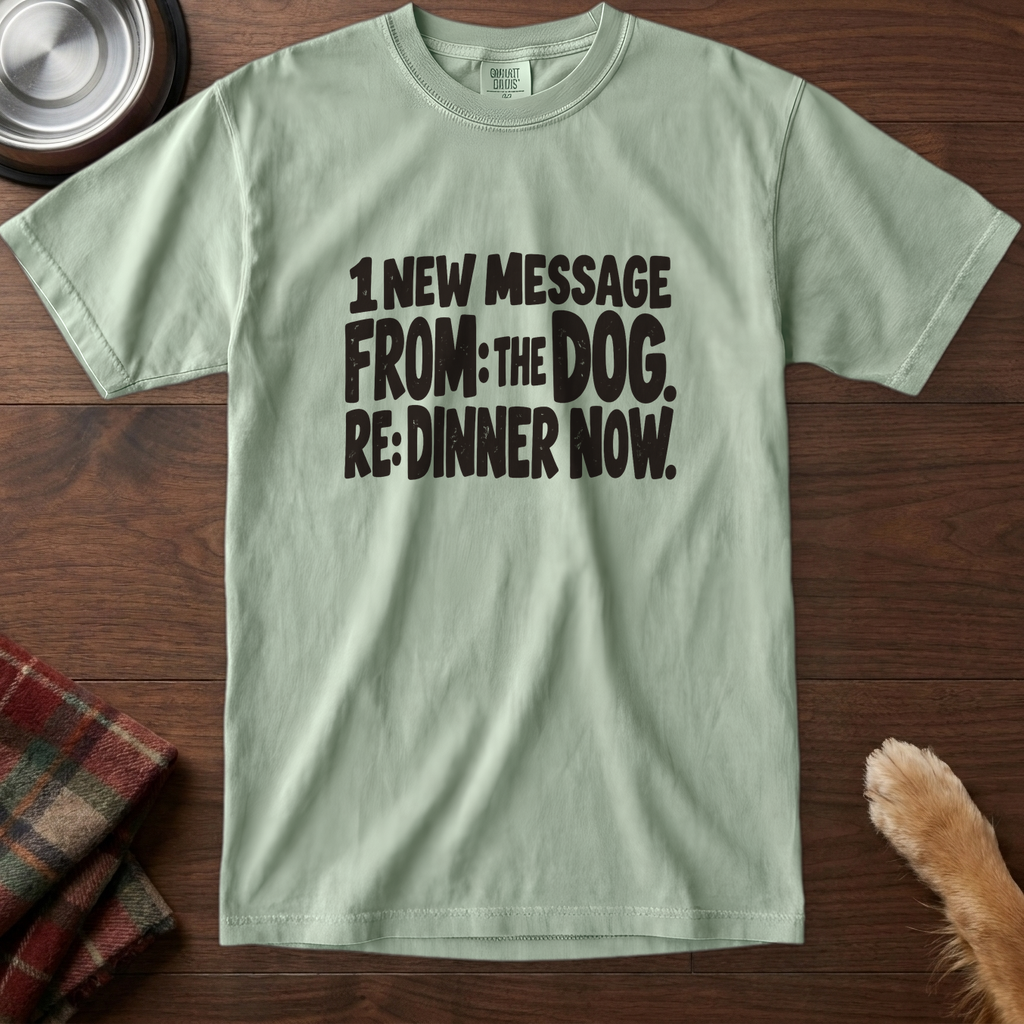 pick12v3:1-new-message-re-dinner-now-t-shirt:Bay