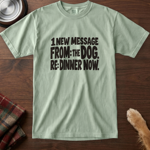 pick12v3:1-new-message-re-dinner-now-t-shirt:Bay