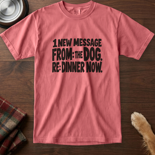 pick12v3:1-new-message-re-dinner-now-t-shirt:Watermelon