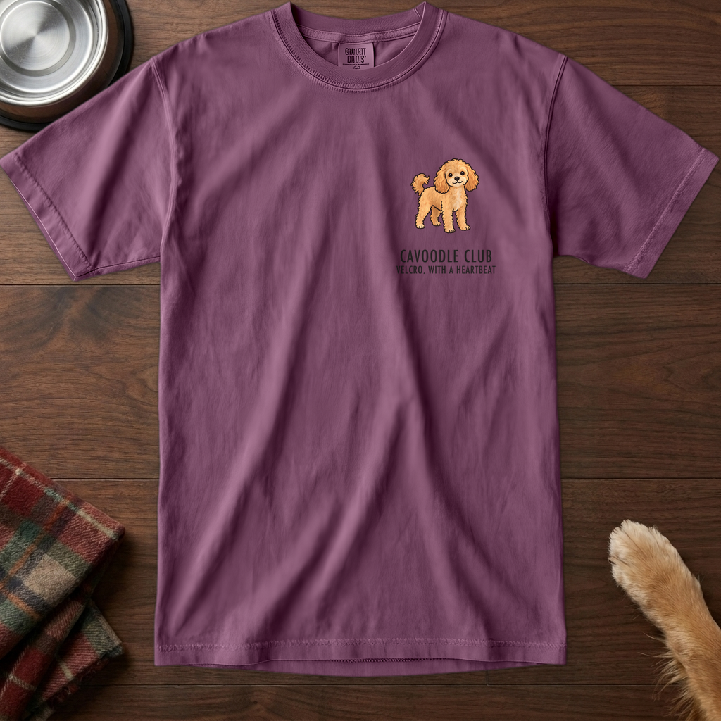 pick12v3:cavoodle-club-badge-t-shirt:Berry