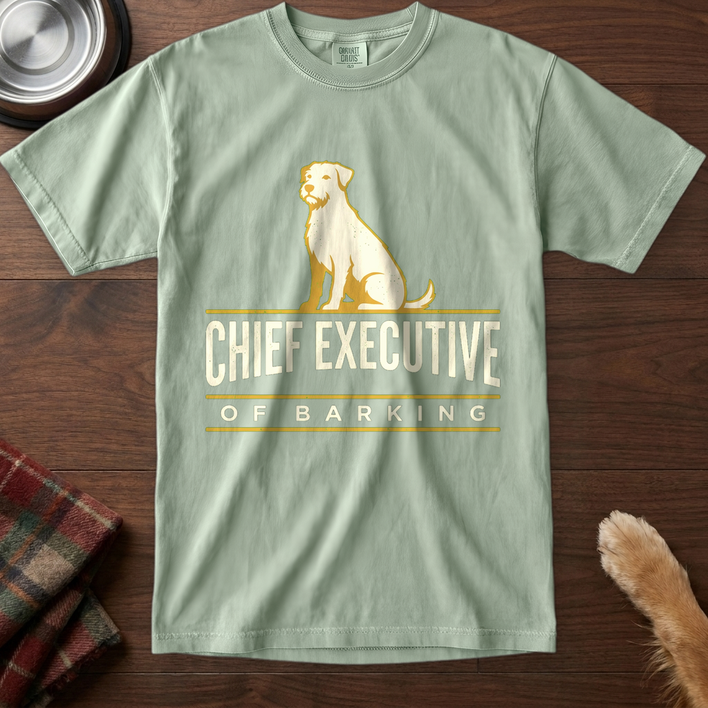 pick12v2:chief-executive-of-barking:Bay