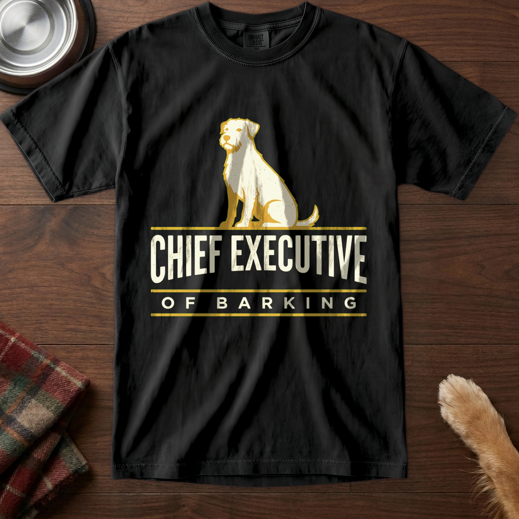 pick12v2:chief-executive-of-barking:Black