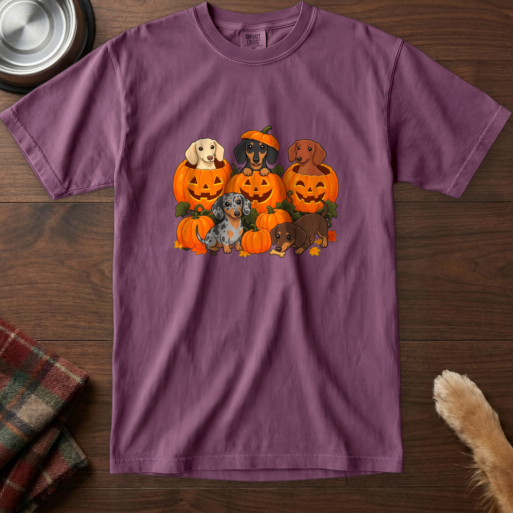 pick12v3:dachshund-pumpkin-patch-t-shirt:Berry
