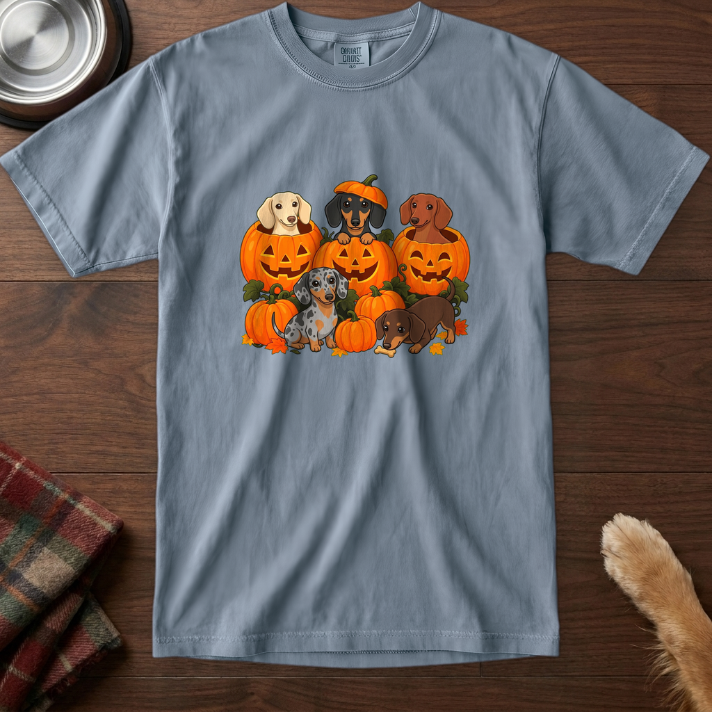 pick12v3:dachshund-pumpkin-patch-t-shirt:Blue Jean