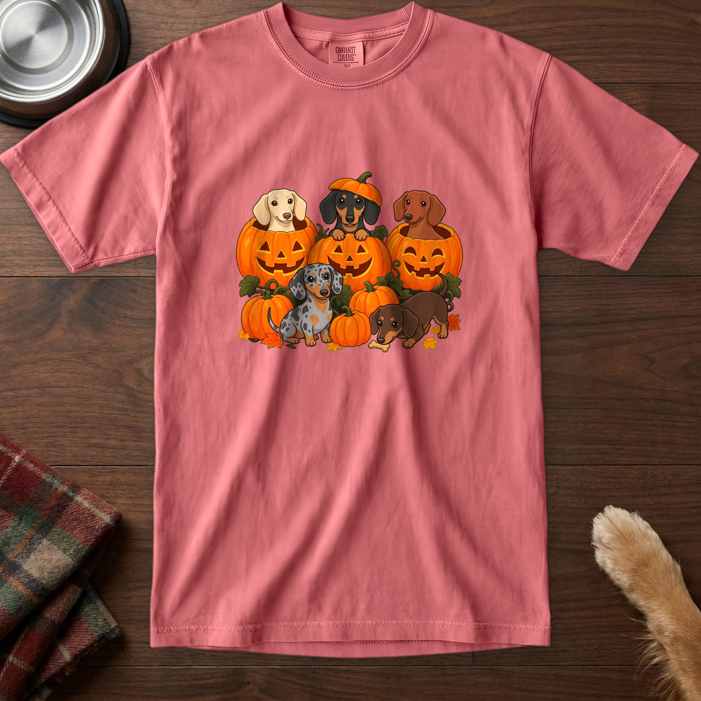 pick12v3:dachshund-pumpkin-patch-t-shirt:Watermelon