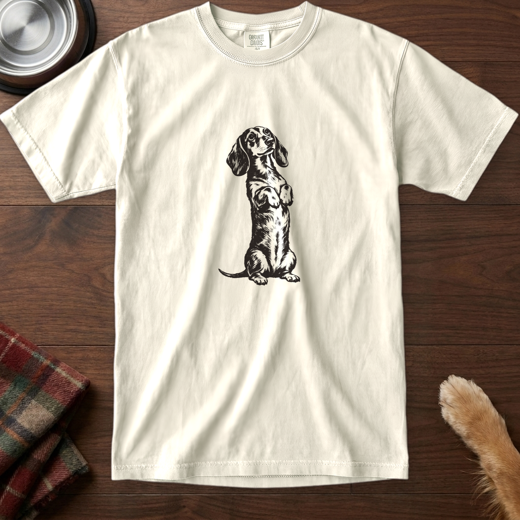 pick12v3:dachshund-sit-pretty-t-shirt:Ivory
