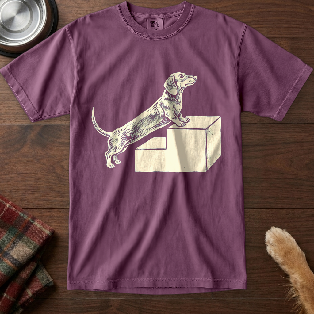 pick12v2:dachshund-stair-struggle:Berry