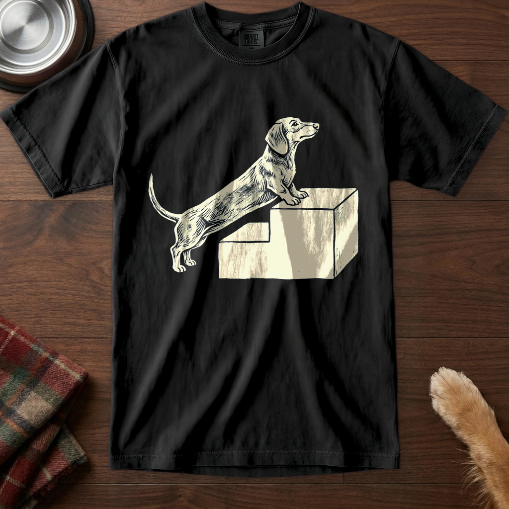 pick12v2:dachshund-stair-struggle:Black